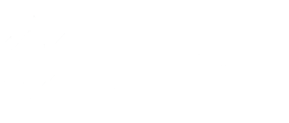 Diseño & Manufactura SpA